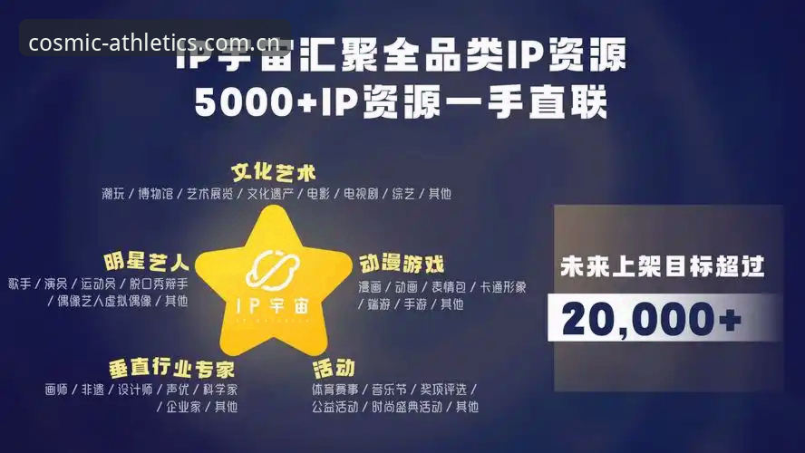 星空体育官网功能深度评测：从注册到数据追踪的全链路分析